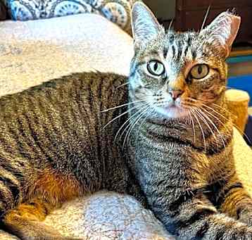 Photo of Freya