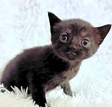 Photo of Stuart