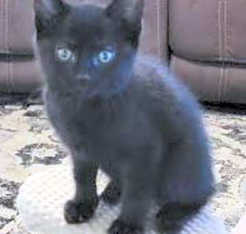 Photo of Kendra