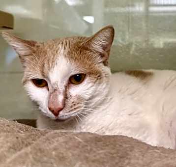 Photo of Muriel