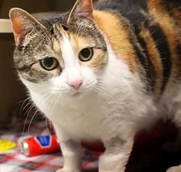 Photo of Kiki