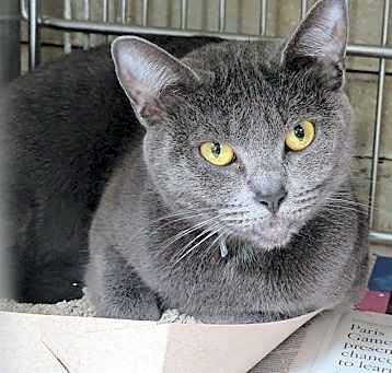 Photo of SMOKEY