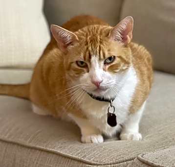 Photo of Carl