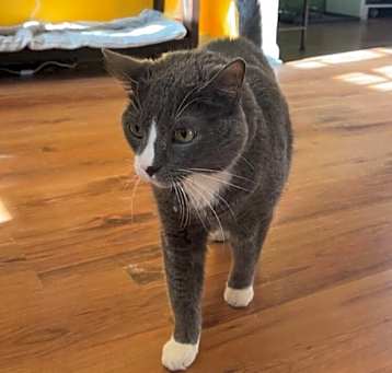 Photo of Leroy
