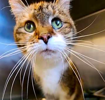Photo of Holly