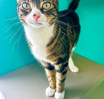 Photo of Meredith