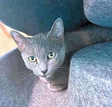Photo of Cristina