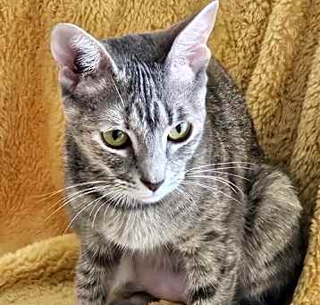 Photo of Nami