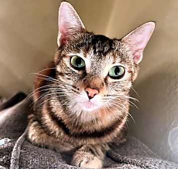 Photo of Pip