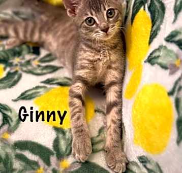 Photo of Ginny