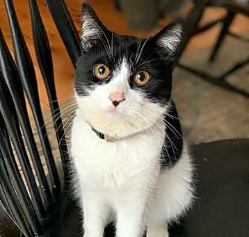 Photo of Carm