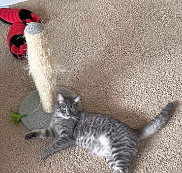 Photo of Kiki