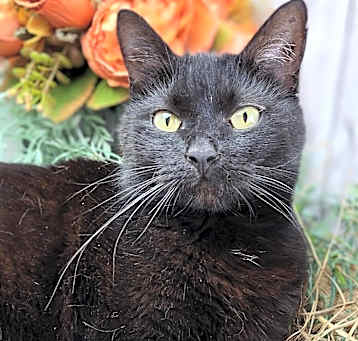 Photo of Mandy