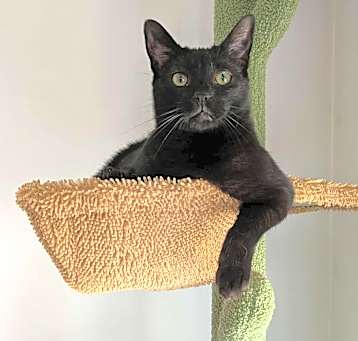 Photo of Wynkin
