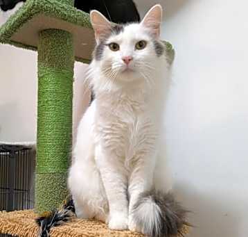 Photo of Petey