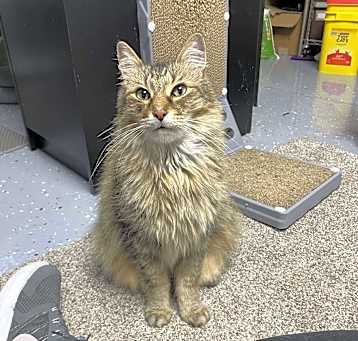 Photo of Gus