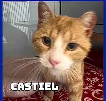 Photo of Castiel 