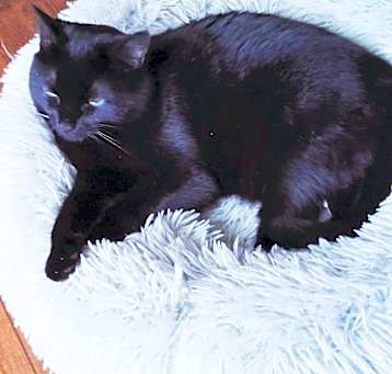 Photo of DOT