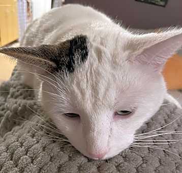 Photo of Jack