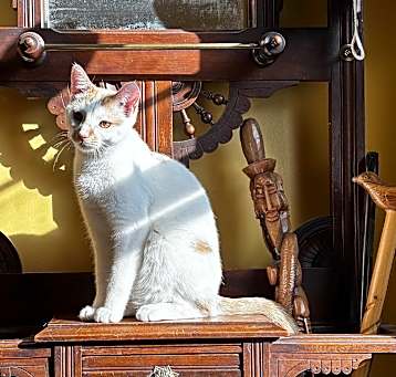 Photo of Libby
