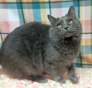 Photo of Clara