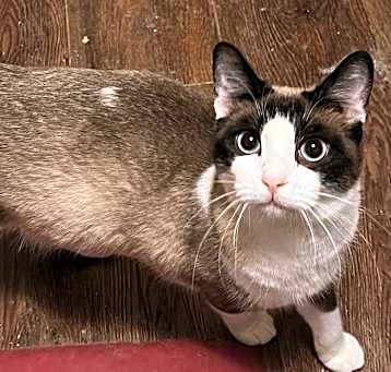 Photo of Nora