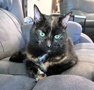 Photo of Ember
