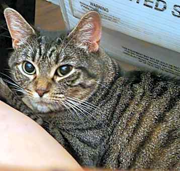 Photo of Turbo