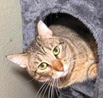 Photo of Annie