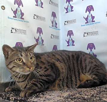 Photo of BENTLY