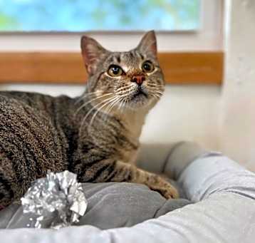 Photo of Ashley Paws