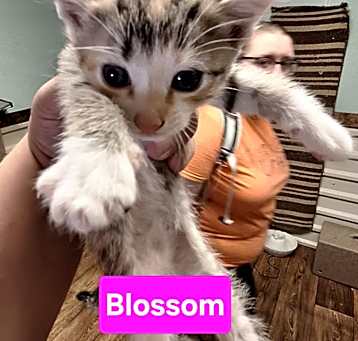 Photo of Hazel