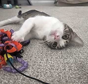Photo of Gabby