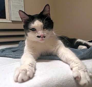 Photo of Nyla