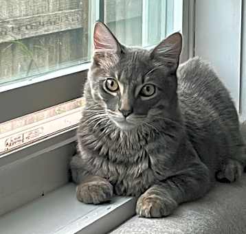 Photo of Cass
