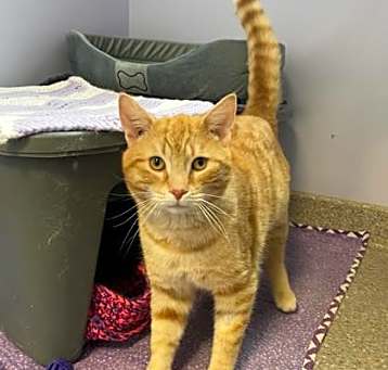 Photo of Freed (Bonded with Reed)
