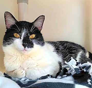 Photo of Tom