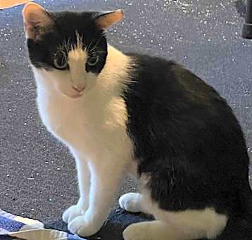 Photo of Molly