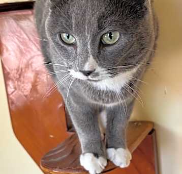 Photo of Smoochie