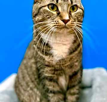 Photo of Slink - PetSmart West Berlin