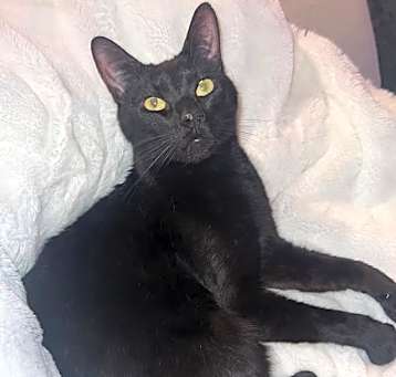Photo of Kyro