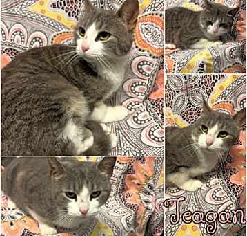 Photo of Teagan