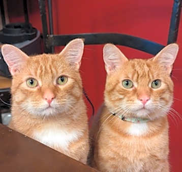 Photo of George (with Fred)