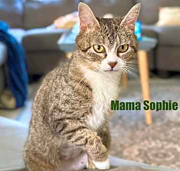 Photo of Mama Sophie