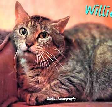 Photo of Willie