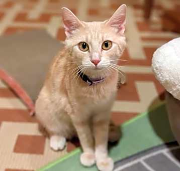 Photo of Spice