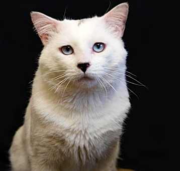 Photo of Olaf
