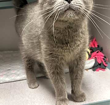 Photo of Kiki