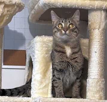 Photo of Monty