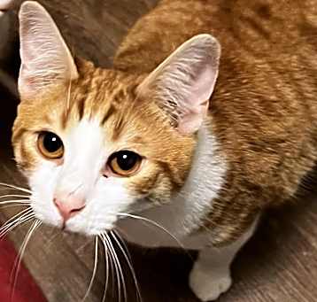 Photo of Monty